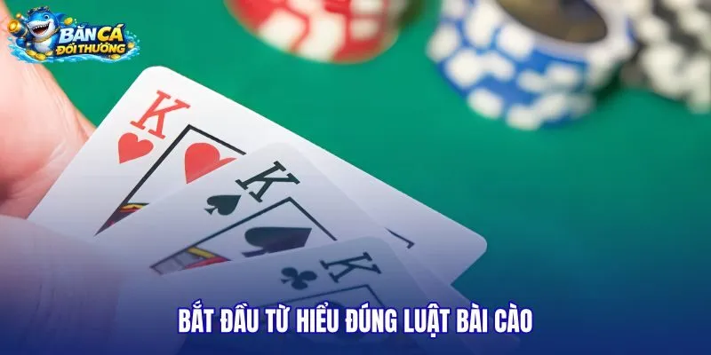 bat-dau-tu-hieu-dung-luat-bai-cao