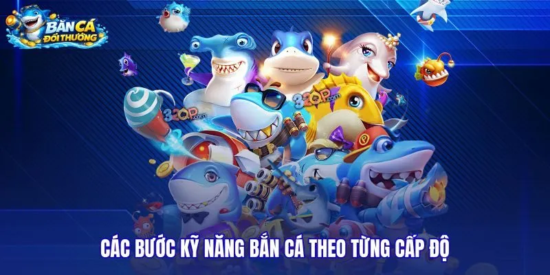Hướng dẫn chi tiết lộ trình rèn luyện kỹ năng đi săn