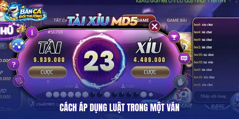 cach-ap-dung-luat-trong-mot-van