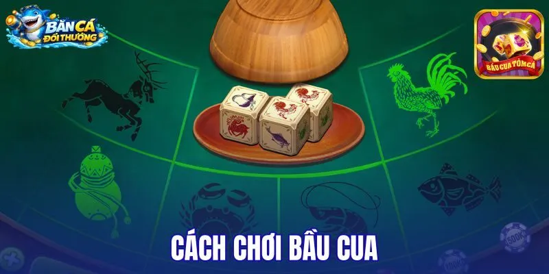 Cách chơi bầu cua