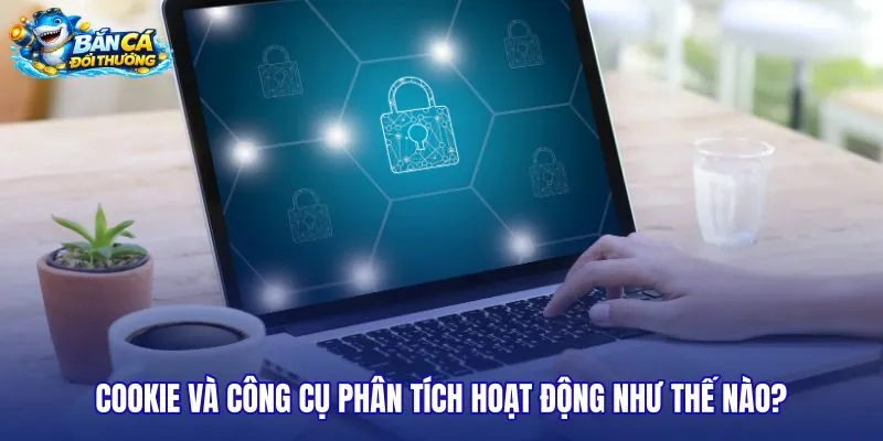cookie-va-cong-cu-phan-tich-hoat-dong-nhu-the-nao cookie-va-cong-cu-phan-tich-hoat-dong-nhu-the-nao