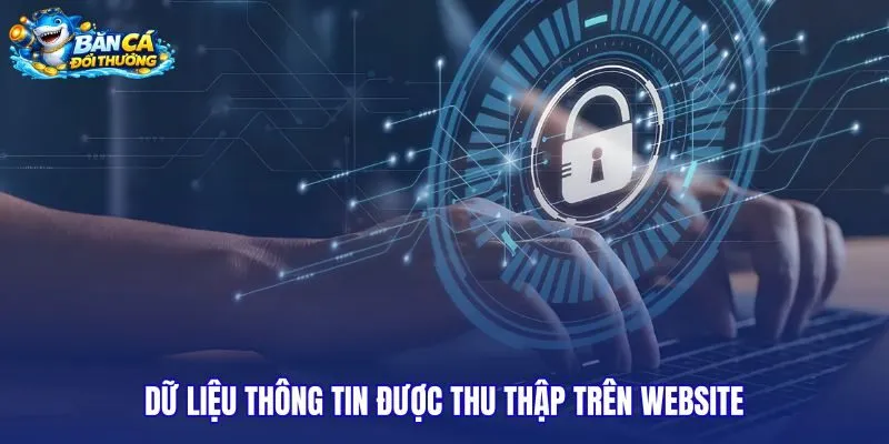 du-lieu-thong-tin-duoc-thu-thap-tren-website du-lieu-thong-tin-duoc-thu-thap-tren-website