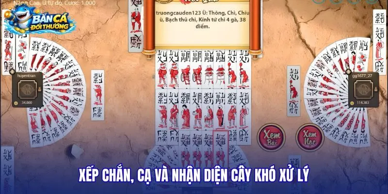 xep-chan-ca-va-nhan-dien-cay-kho-xu-ly